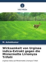Wirksamkeit von Urginea indica-Extrakt gegen die Miniermotte Liriomyza Trifolii