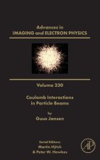 Relativistic Theory and Calculation of Electrostatic Focusing Systems