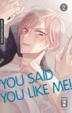 You Said You Like Me! 02