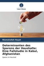 Determinanten des Sparens der Haushalte: Eine Fallstudie in Kabul, Afghanistan