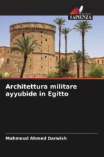 Architettura militare ayyubide in Egitto