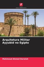 Arquitetura Militar Ayyubid no Egipto