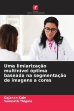 Uma limiarizaç?o multinível óptima baseada na segmentaç?o de imagens a cores