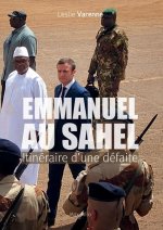 Afrique - Itinéraire d'une défaite