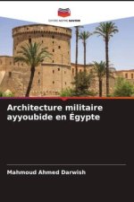 Architecture militaire ayyoubide en Égypte