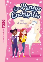 Les poneys enchantés 03