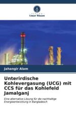 Unterirdische Kohlevergasung (UCG) mit CCS für das Kohlefeld Jamalganj