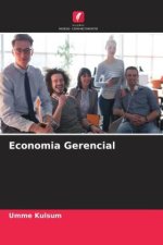 Economia Gerencial