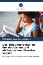 Der 'Bildungsroman' in der deutschen und afrikanischen Literatur subsah