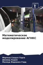 Matematicheskoe modelirowanie AGNKS