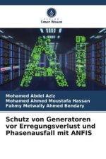 Schutz von Generatoren vor Erregungsverlust und Phasenausfall mit ANFIS