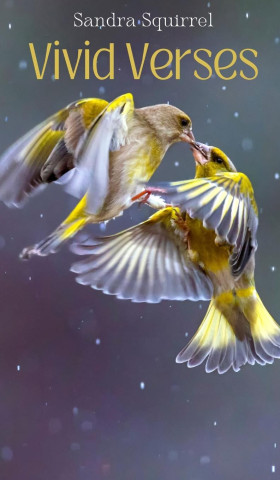 Vivid Verses