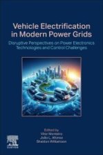 Vehicle Electrification in Modern Power Grids