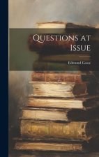 Questions at Issue