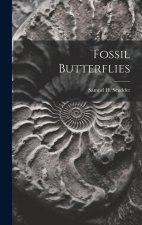 Fossil Butterflies