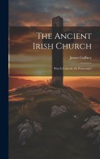 The Ancient Irish Church