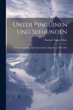 Unter Pinguinen und Seehunden