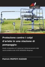 Protezione contro i colpi d'ariete in una stazione di pompaggio: