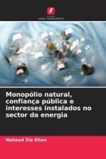 Monopólio natural, confiança pública e interesses instalados no sector da energia