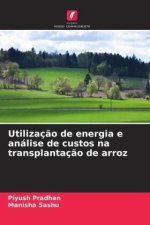 Utilizaç?o de energia e análise de custos na transplantaç?o de arroz