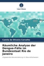 Räumliche Analyse der Dengue-Fälle im Bundesstaat Rio de Janeiro