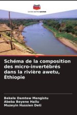 Schéma de la composition des micro-invertébrés dans la rivi?re awetu, Éthiopie
