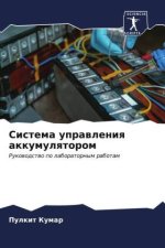 Sistema uprawleniq akkumulqtorom
