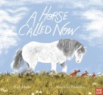 HORSE CALLED NOW