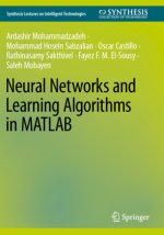 Neural Networks and Learning Algorithms in MATLAB