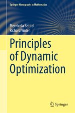 Principles of Dynamic Optimization