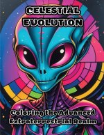 Celestial Evolution