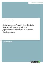 Systemsprenger*innen. Eine kritische Auseinandersetzung mit den Jugendhilfemaßnahmen in sozialen Einrichtungen