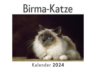 Birma-Katze (Wandkalender 2024, Kalender DIN A4 quer, Monatskalender im Querformat mit Kalendarium, Das perfekte Geschenk)