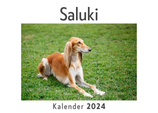 Saluki (Wandkalender 2024, Kalender DIN A4 quer, Monatskalender im Querformat mit Kalendarium, Das perfekte Geschenk)