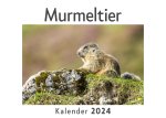 Murmeltier (Wandkalender 2024, Kalender DIN A4 quer, Monatskalender im Querformat mit Kalendarium, Das perfekte Geschenk)