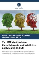 Von ICM bis Alzheimer: Klassifizierende und prädiktive Analyse mit 3D-CNN