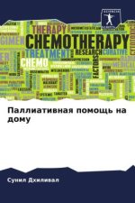 Palliatiwnaq pomosch' na domu