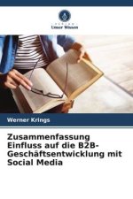 Zusammenfassung Einfluss auf die B2B-Geschäftsentwicklung mit Social Media