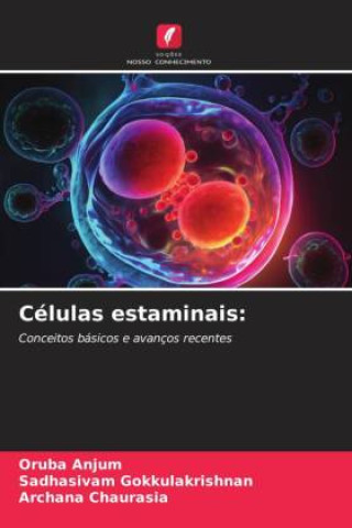 Células estaminais:
