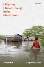 Litigating Climate Change in the Global South (Hardback)