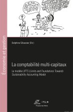 LA COMPTABILITE MULTI-CAPITAUX