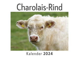 Charolais-Rind (Wandkalender 2024, Kalender DIN A4 quer, Monatskalender im Querformat mit Kalendarium, Das perfekte Geschenk)