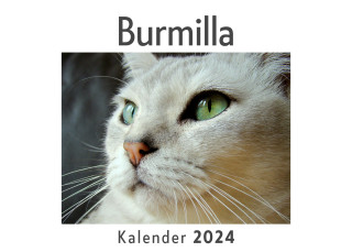 Burmilla (Wandkalender 2024, Kalender DIN A4 quer, Monatskalender im Querformat mit Kalendarium, Das perfekte Geschenk)