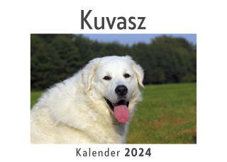 Kuvasz (Wandkalender 2024, Kalender DIN A4 quer, Monatskalender im Querformat mit Kalendarium, Das perfekte Geschenk)