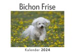 Bichon Frise (Wandkalender 2024, Kalender DIN A4 quer, Monatskalender im Querformat mit Kalendarium, Das perfekte Geschenk)