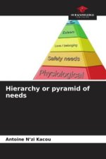 Hierarchy or pyramid of needs