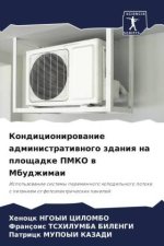 Kondicionirowanie administratiwnogo zdaniq na ploschadke PMKO w Mbudzhimai