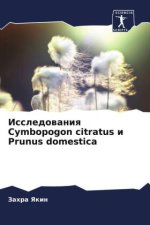 Issledowaniq Cymbopogon citratus i Prunus domestica