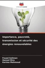 Importance, pauvreté, transmission et sécurité des énergies renouvelables
