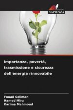 Importanza, povert?, trasmissione e sicurezza dell'energia rinnovabile